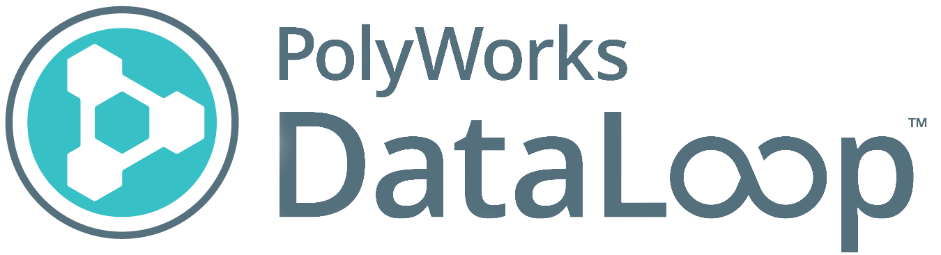 PolyWorks Dataloop