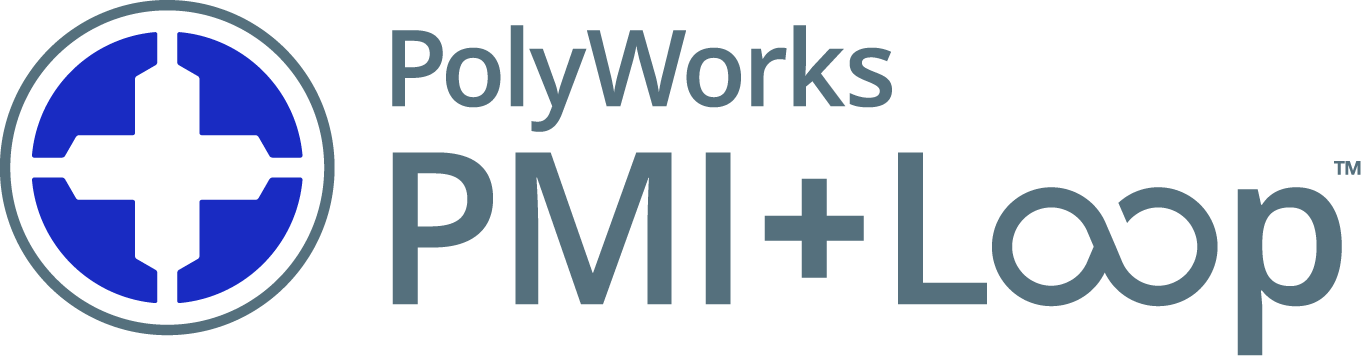 PolyWorks Pmi+loop