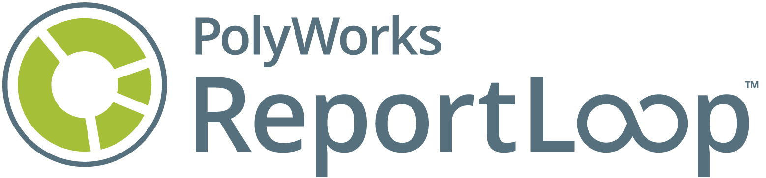 PolyWorks Reportloop